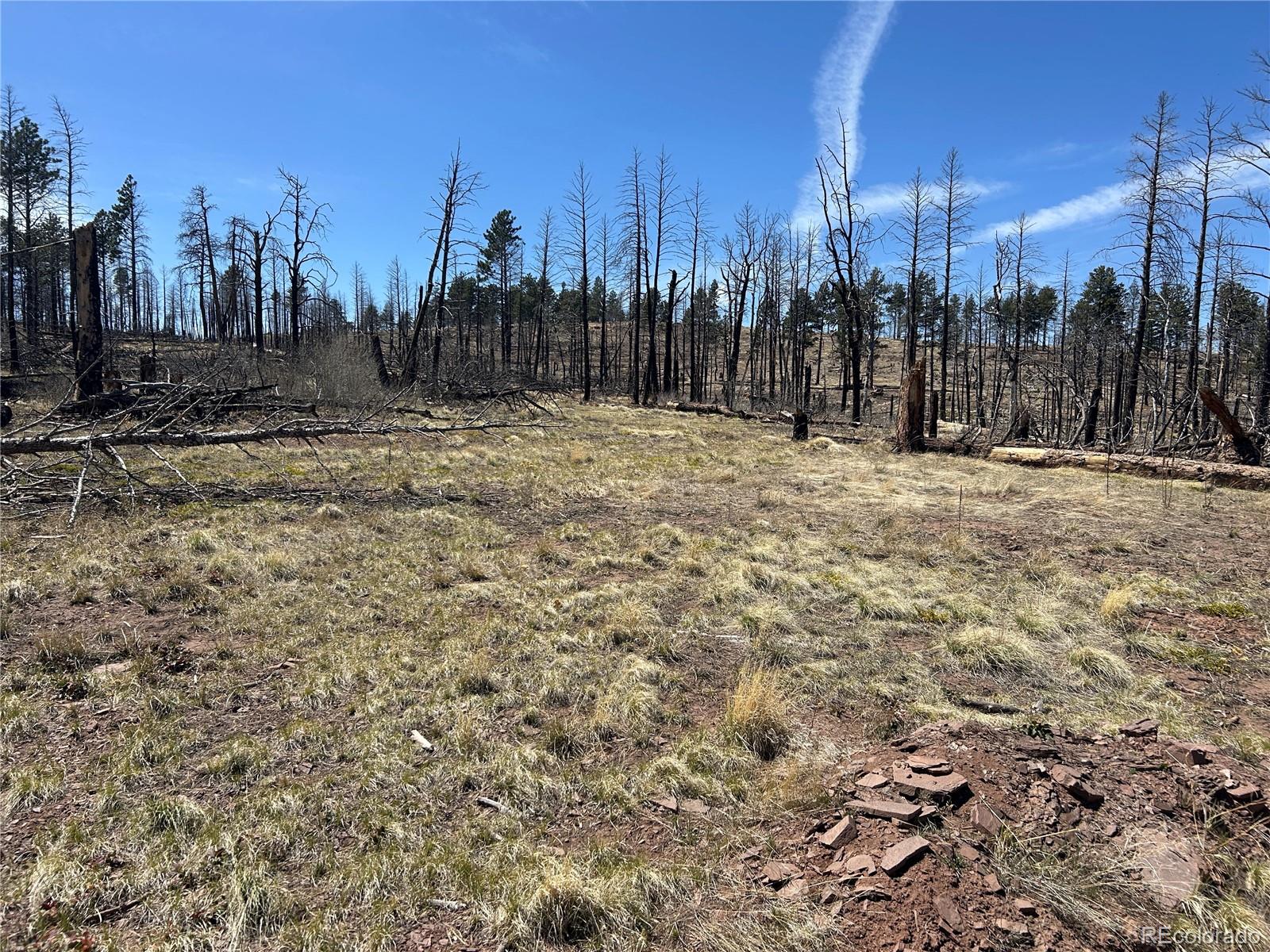 Lot 542 Forbes Park Fort Garland CO 81133