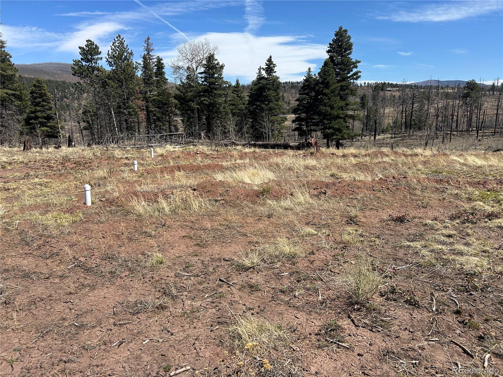 Lot 542 Forbes Park Fort Garland CO 81133