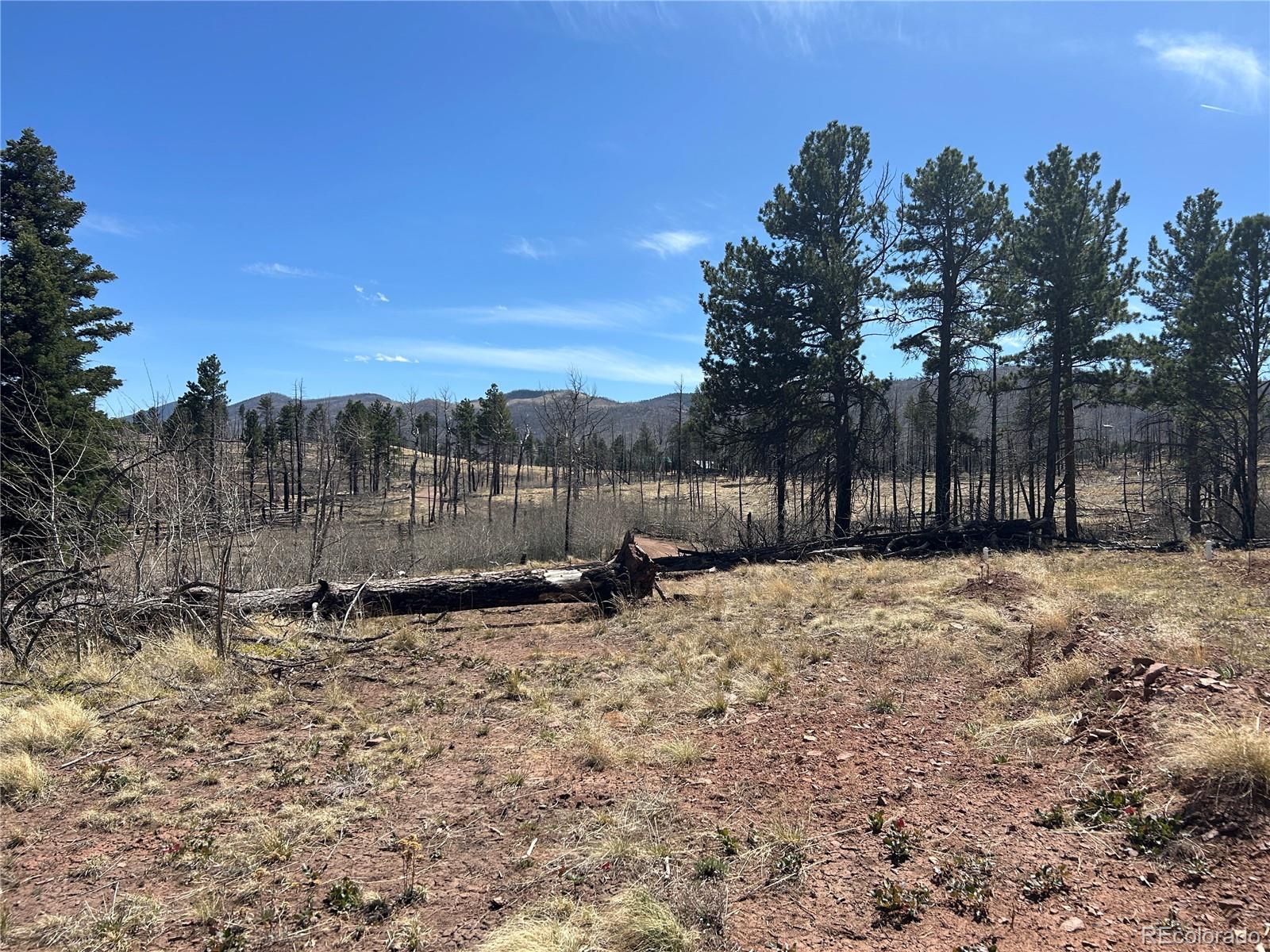 Lot 542 Forbes Park Fort Garland CO 81133