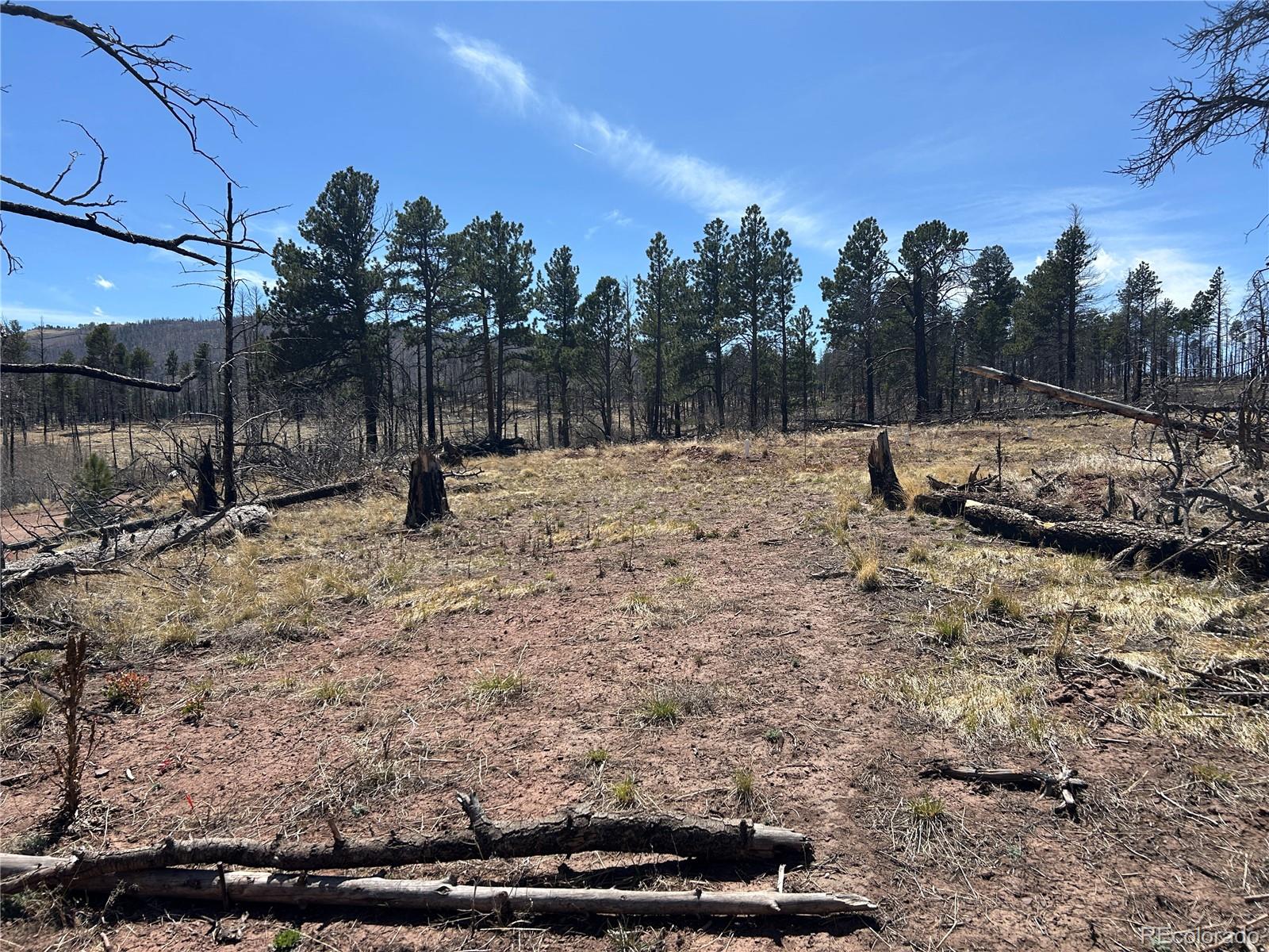 Lot 542 Forbes Park Fort Garland CO 81133