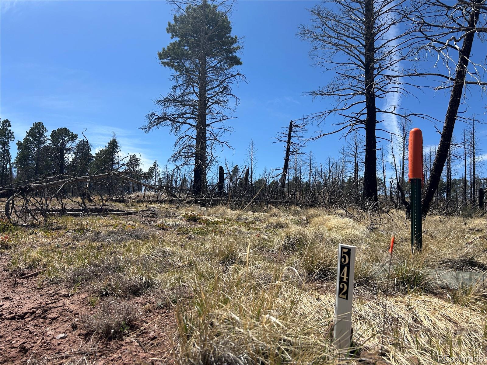 Lot 542 Forbes Park Fort Garland CO 81133