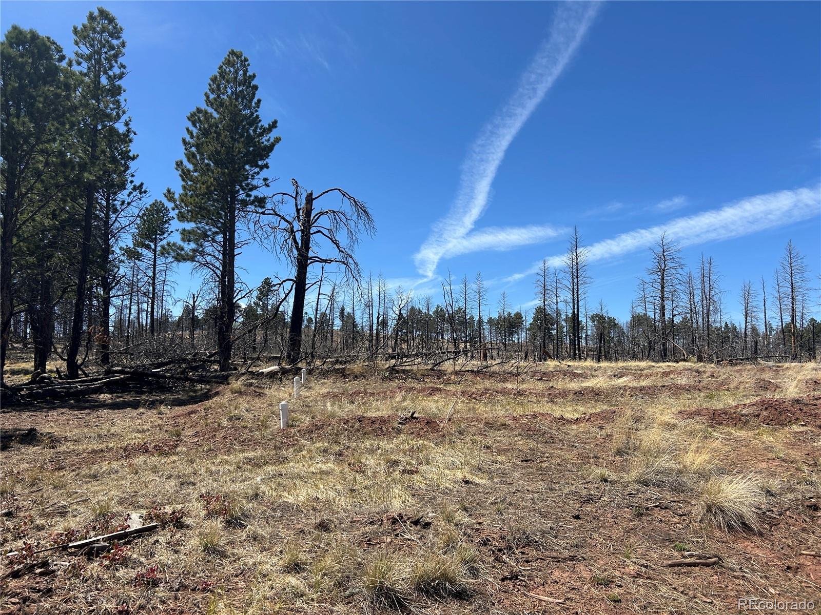 Lot 542 Forbes Park Fort Garland CO 81133