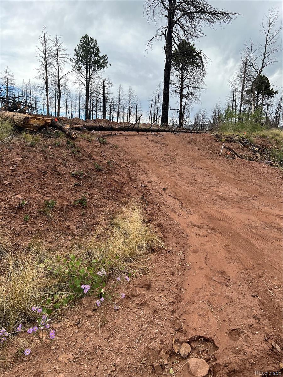 Lot 542 Forbes Park Fort Garland CO 81133