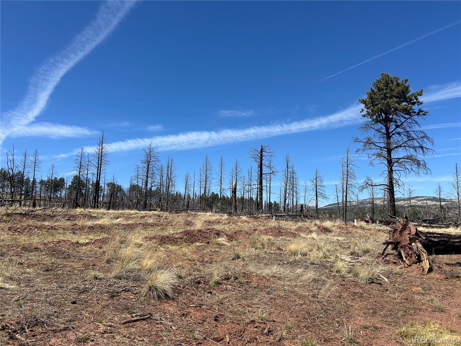 Lot 542 Forbes Park Fort Garland CO 81133