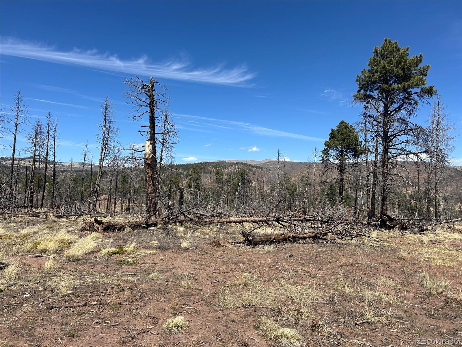 Lot 542 Forbes Park Fort Garland CO 81133