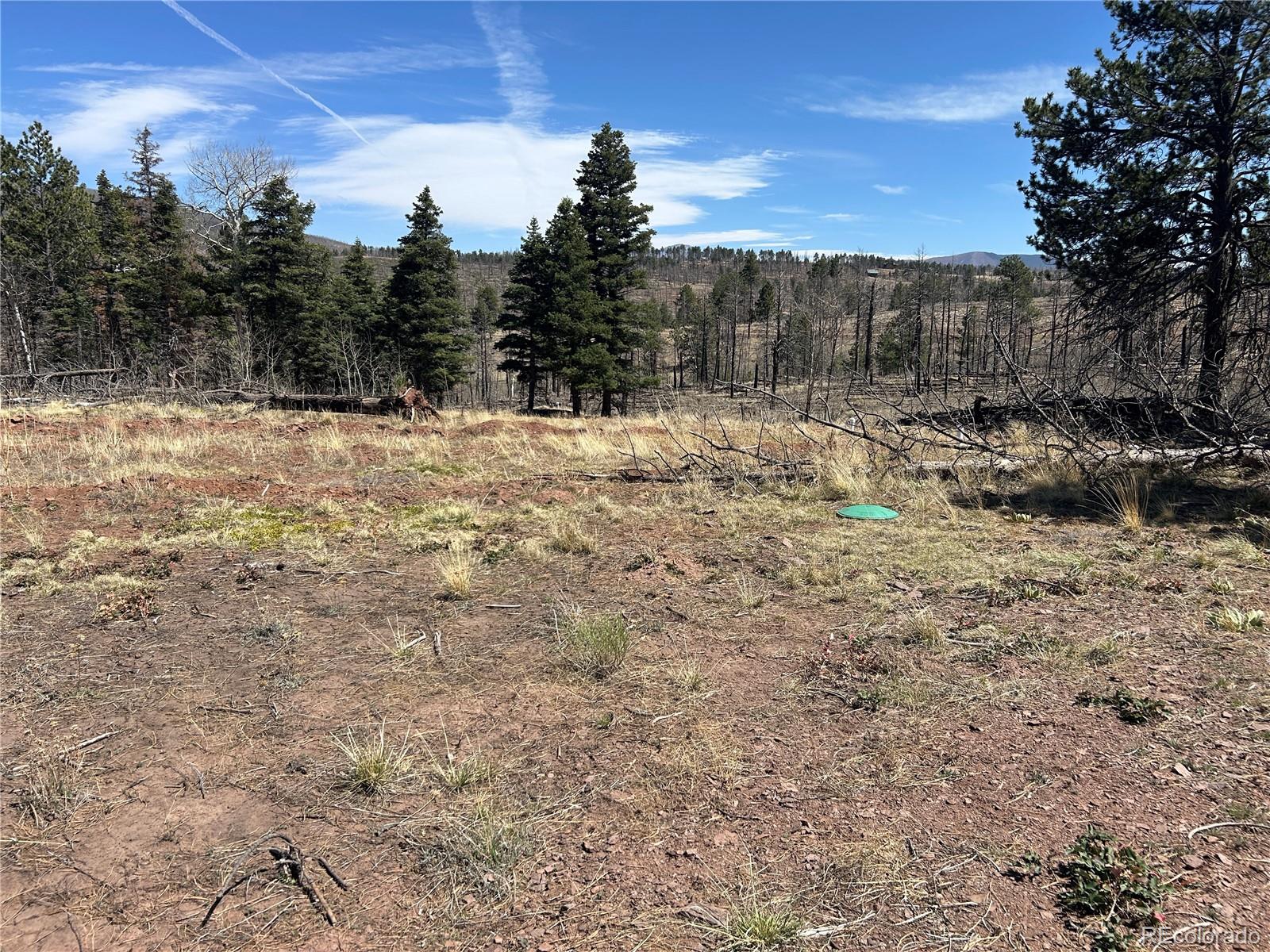 Lot 542 Forbes Park Fort Garland CO 81133