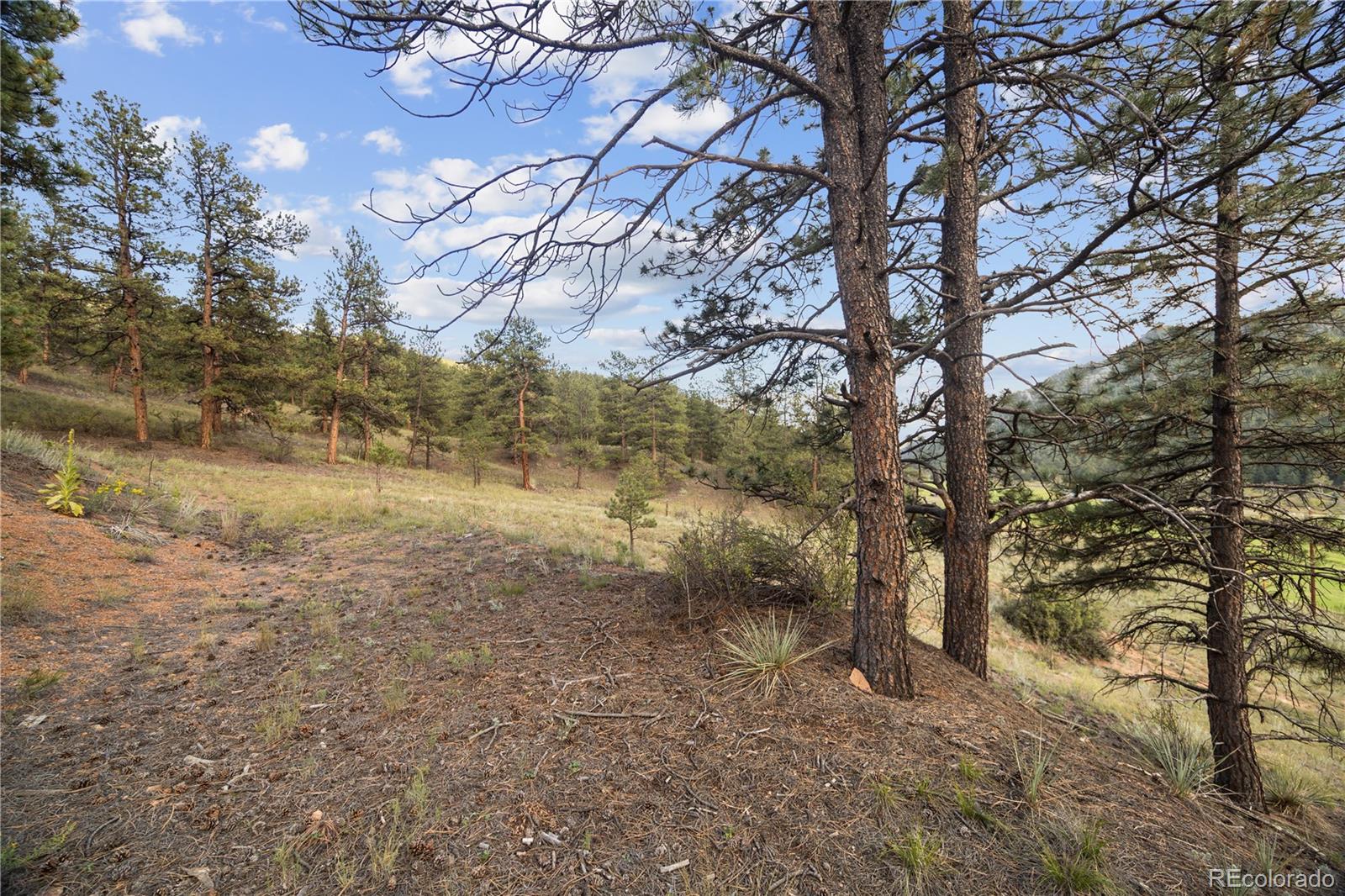 Brynmawr Road Pine CO 80470