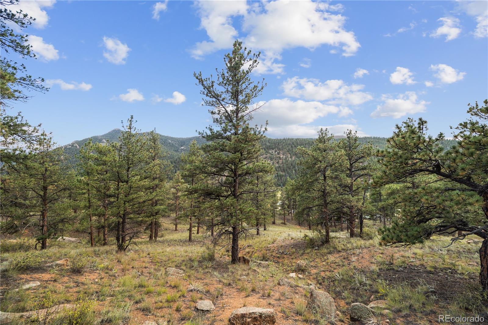 Brynmawr Road Pine CO 80470