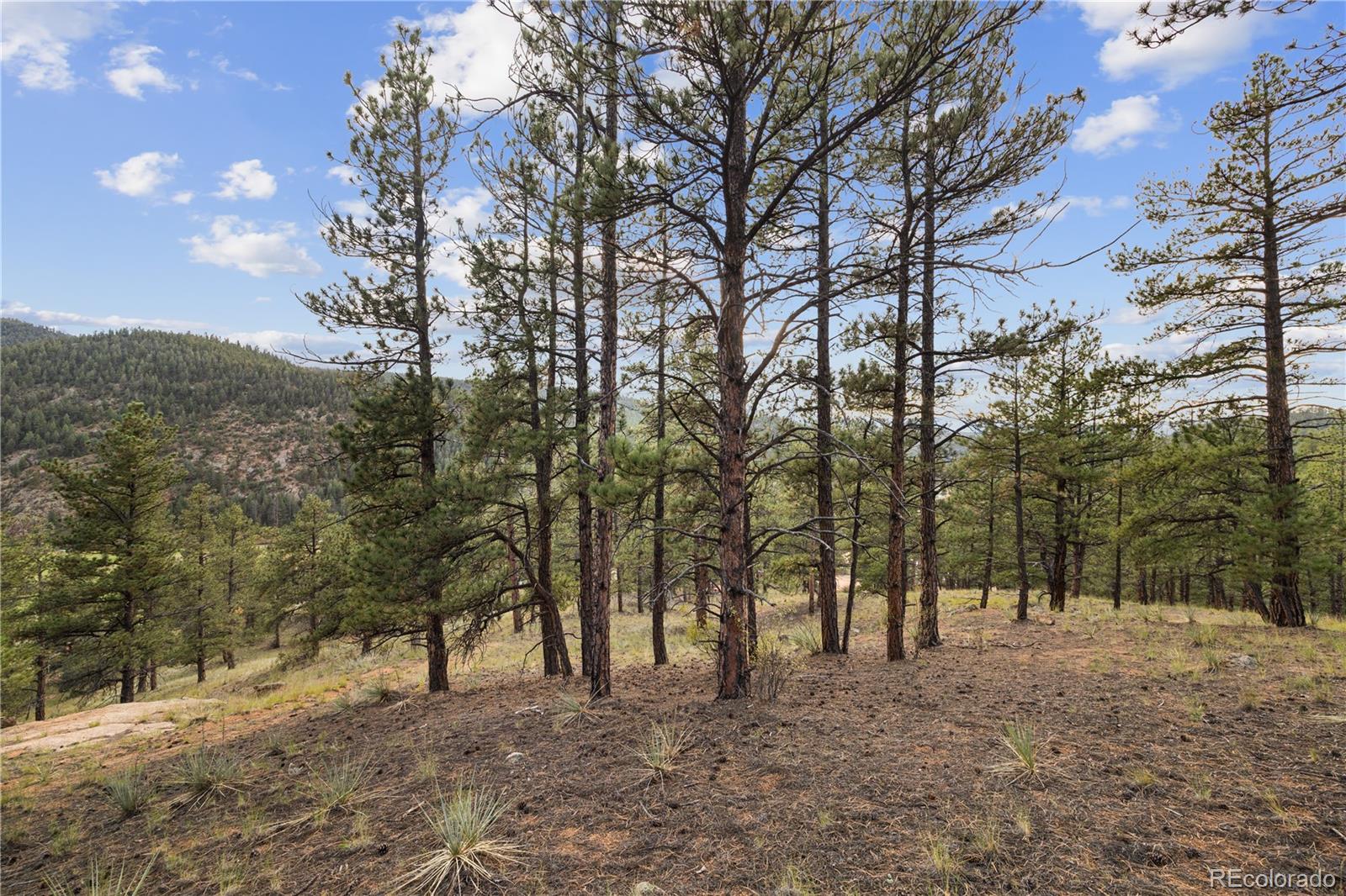 Brynmawr Road Pine CO 80470