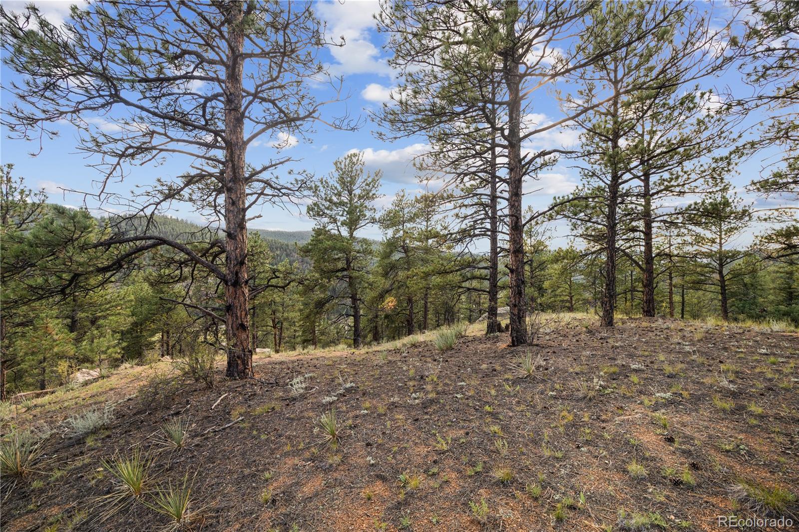 Brynmawr Road Pine CO 80470