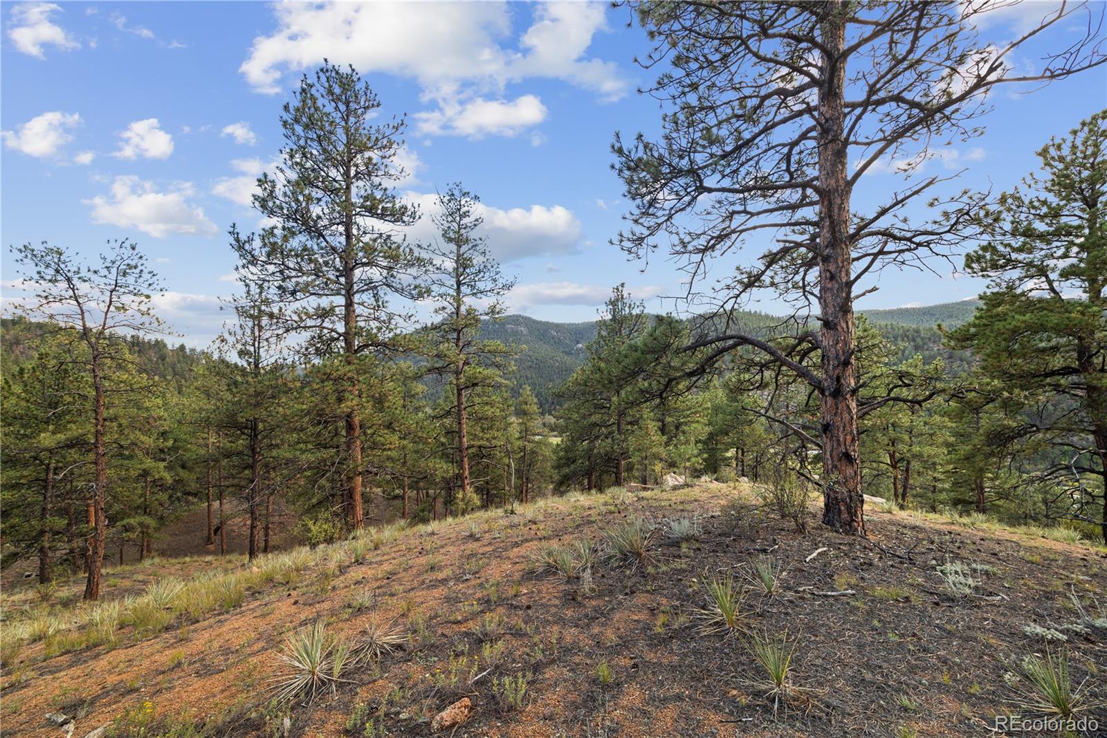 Brynmawr Road Pine CO 80470