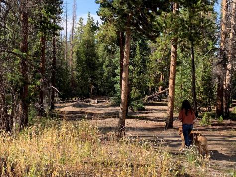 0190 Berlin Placer Road Breckenridge CO 80424