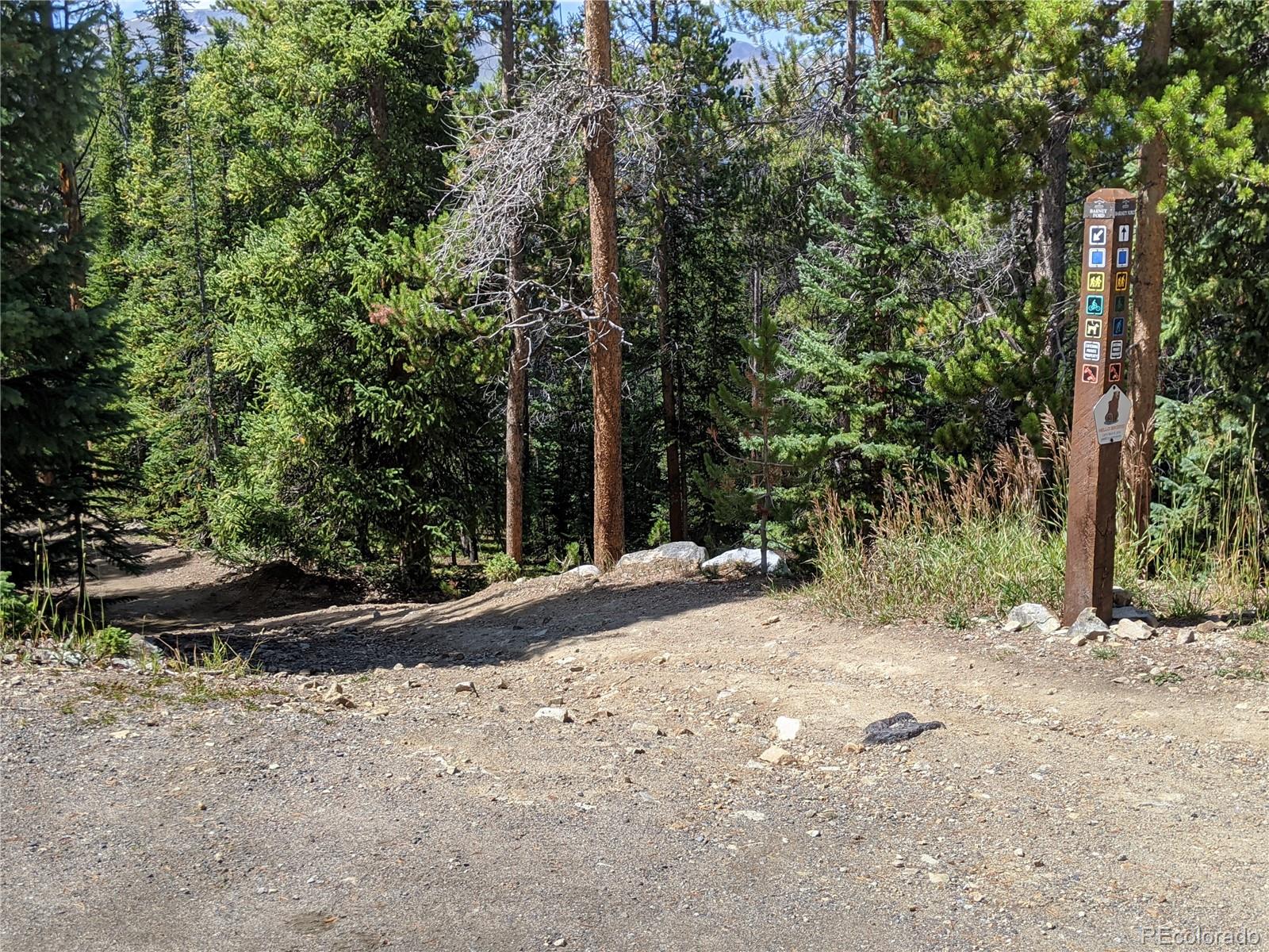 0190 Berlin Placer Road Breckenridge CO 80424