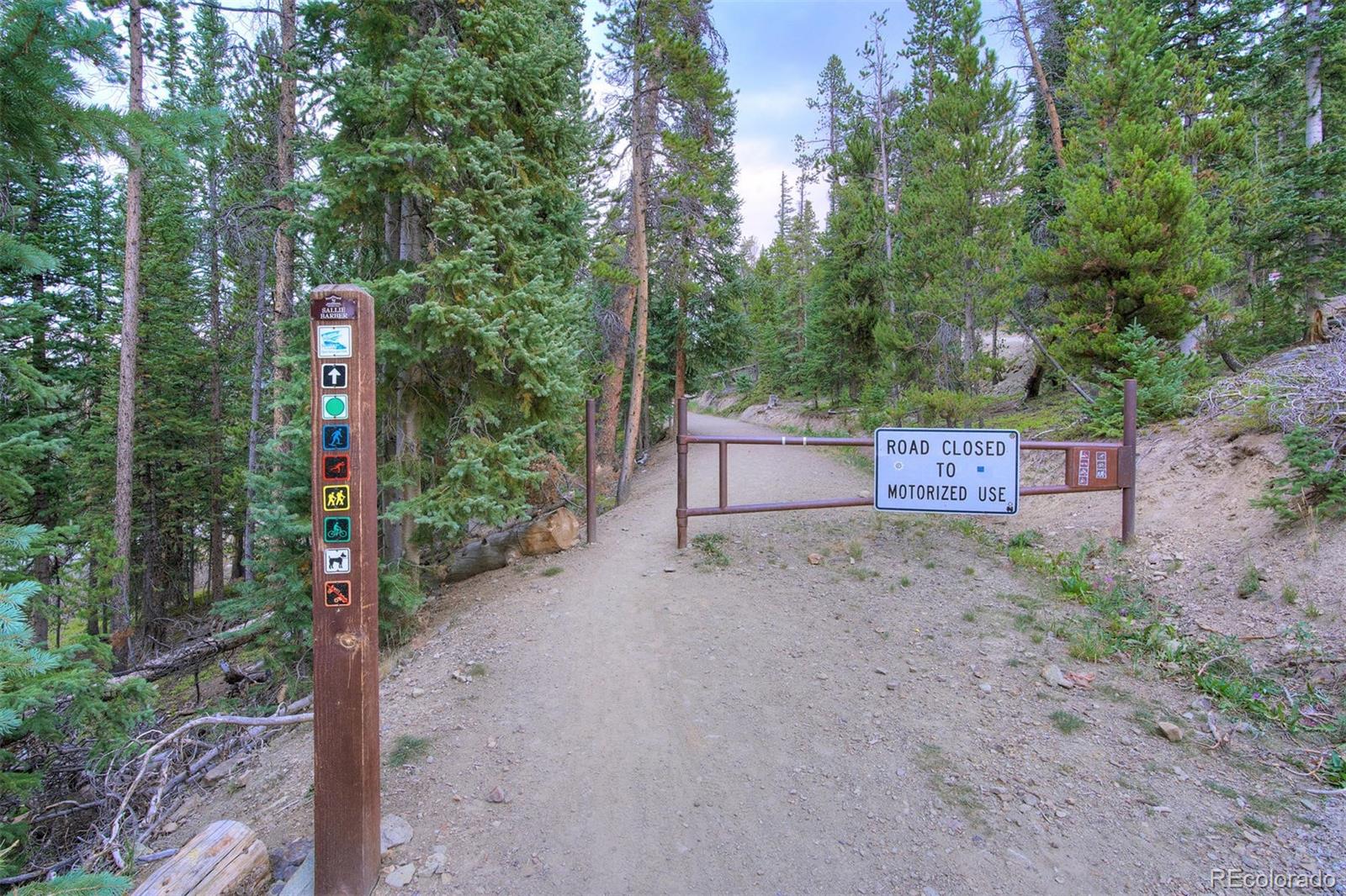 0190 Berlin Placer Road Breckenridge CO 80424