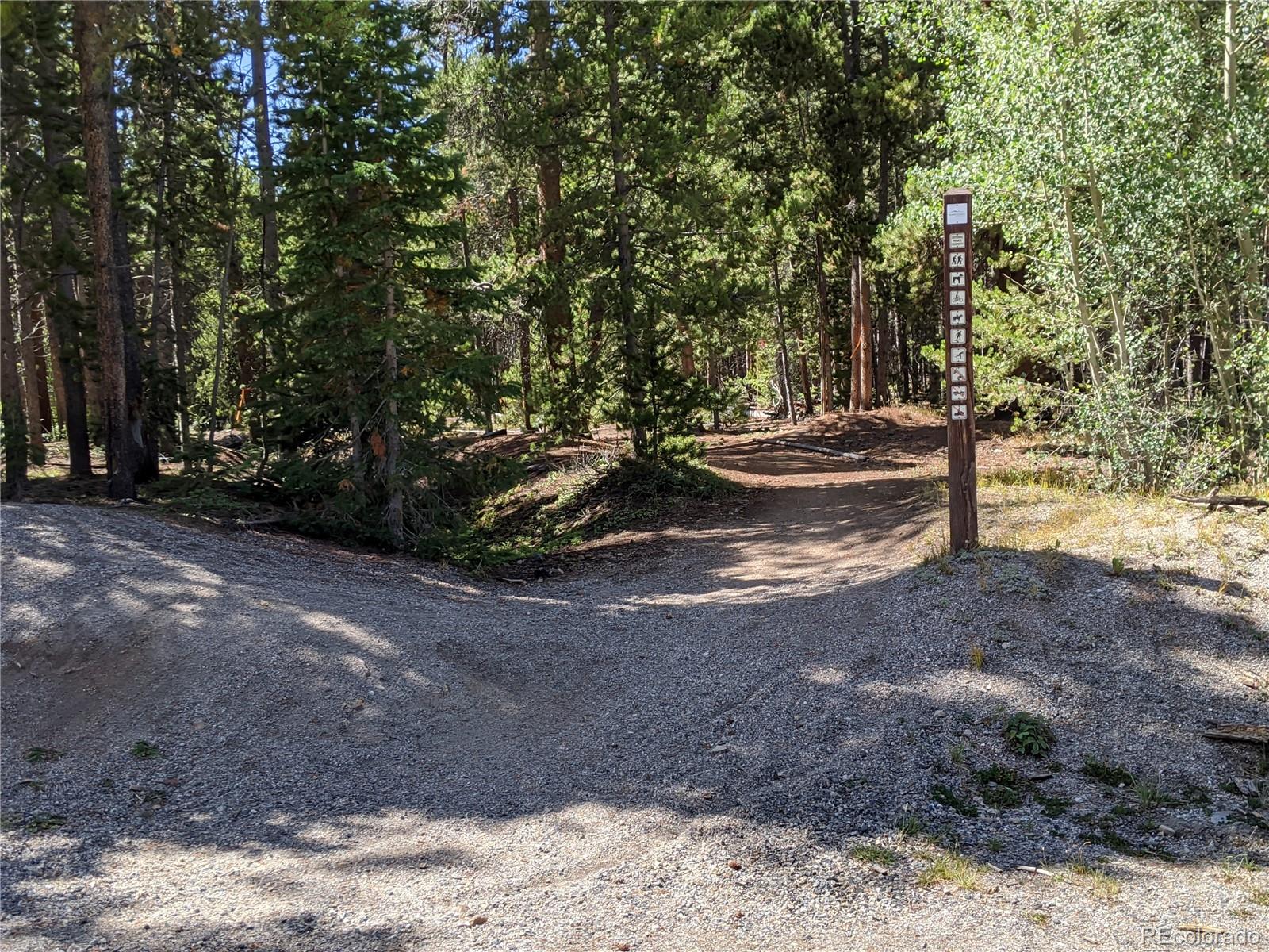 0190 Berlin Placer Road Breckenridge CO 80424