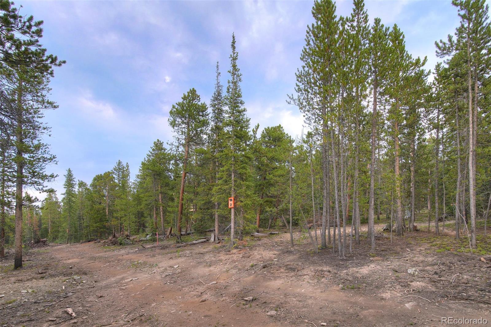 0190 Berlin Placer Road Breckenridge CO 80424