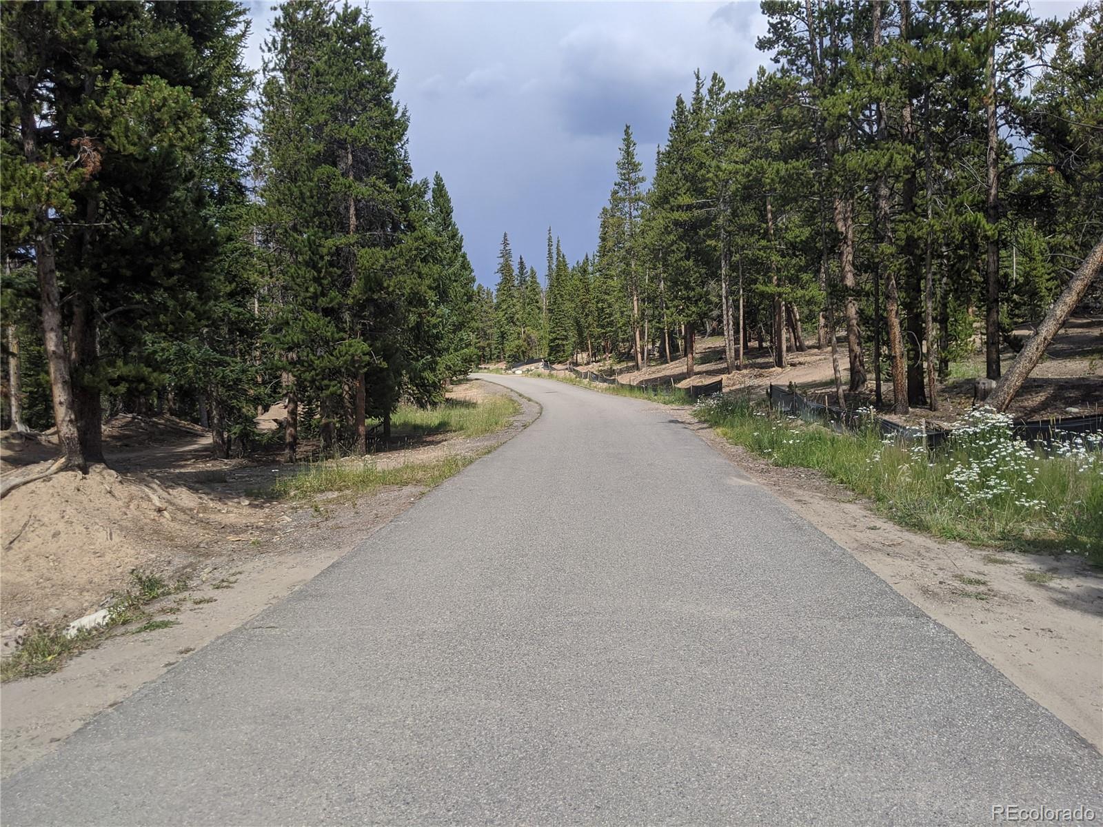 0190 Berlin Placer Road Breckenridge CO 80424