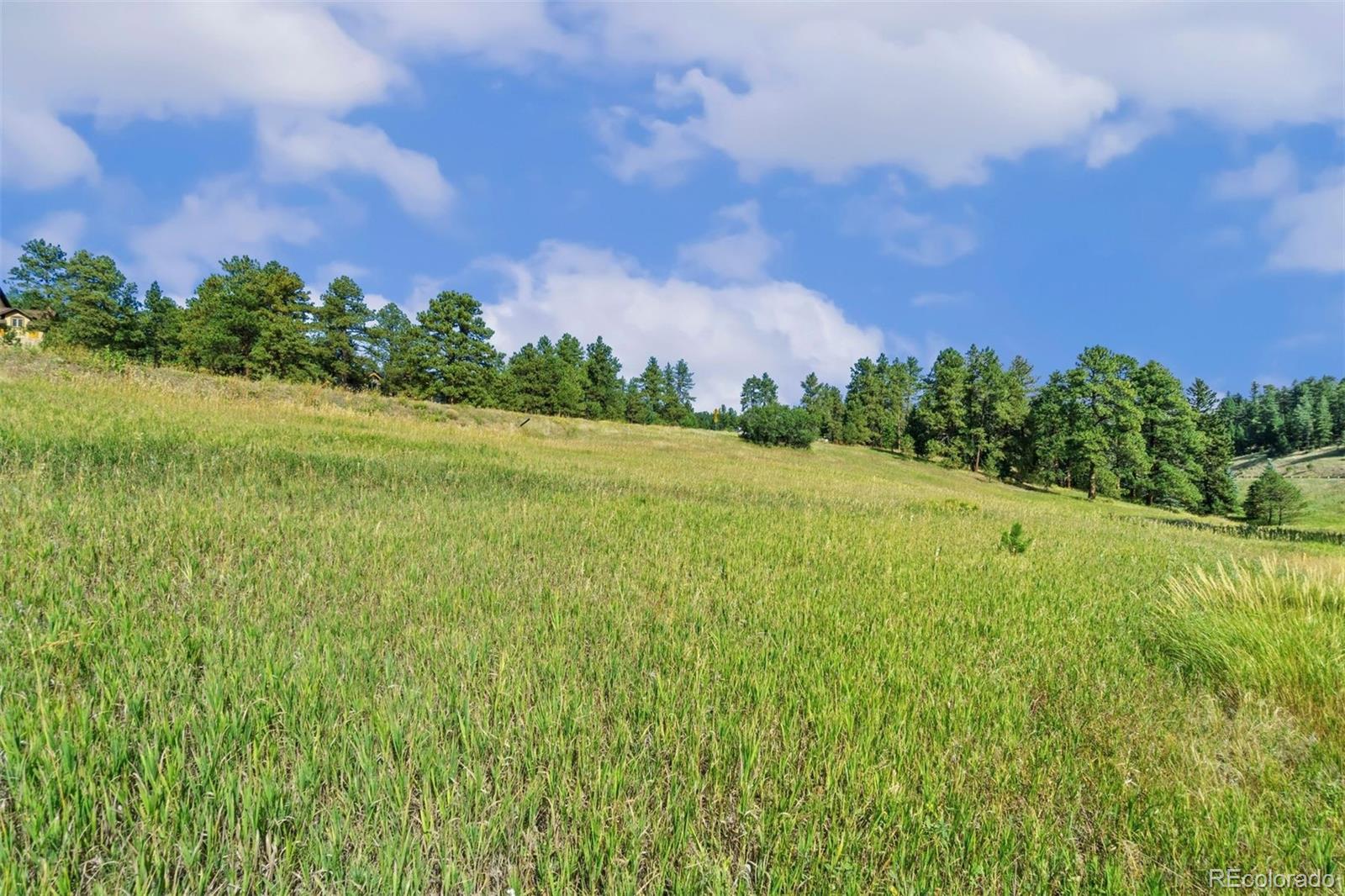 8066 Federation Drive Morrison CO 80465