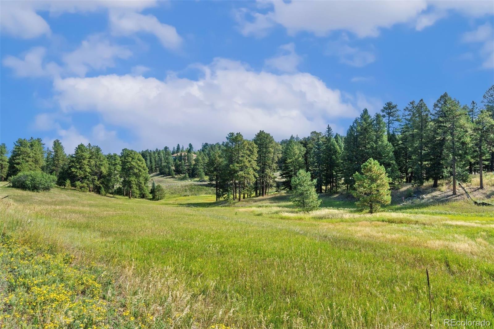 8066 Federation Drive Morrison CO 80465