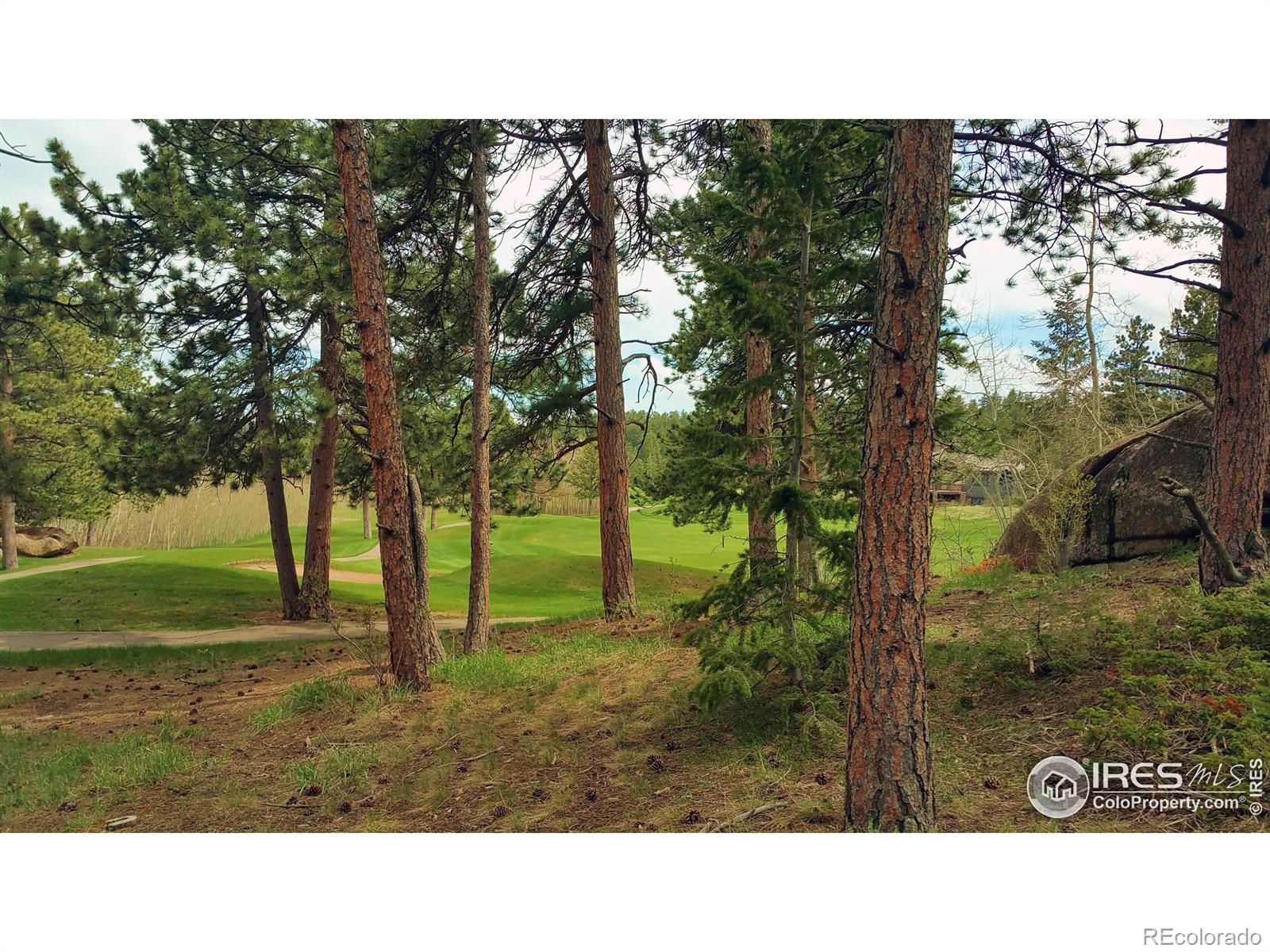 520 Fox Acres Drive W Red Feather Lakes CO 80545
