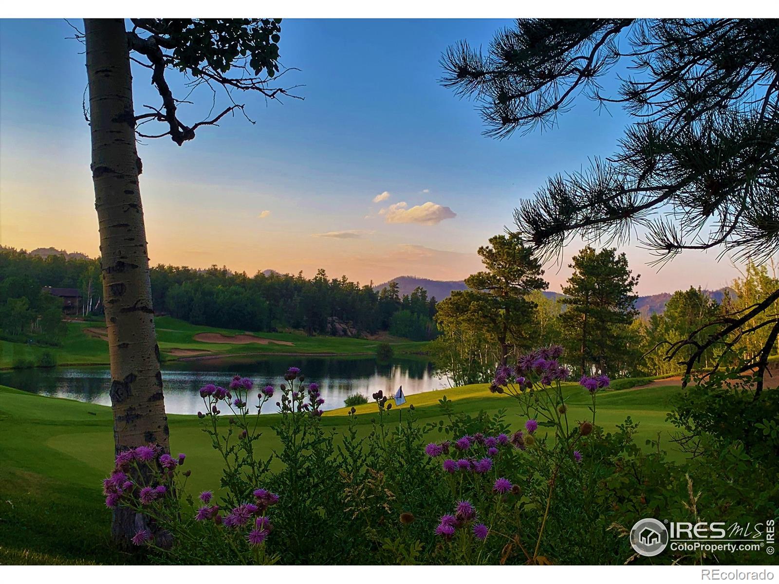 520 Fox Acres Drive W Red Feather Lakes CO 80545