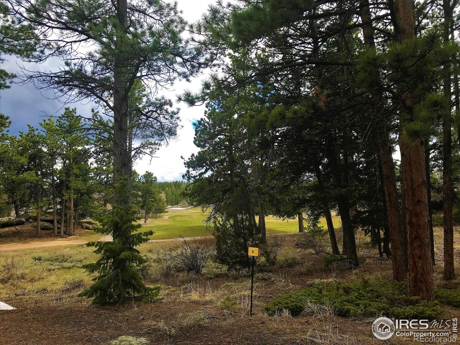 520 Fox Acres Drive W Red Feather Lakes CO 80545