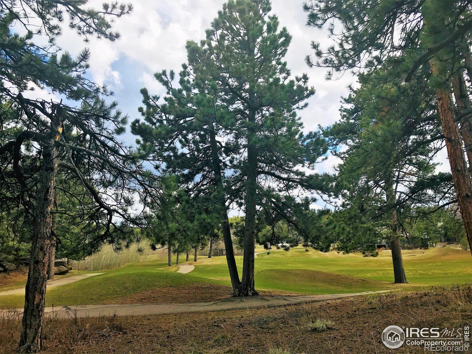 520 Fox Acres Drive W Red Feather Lakes CO 80545