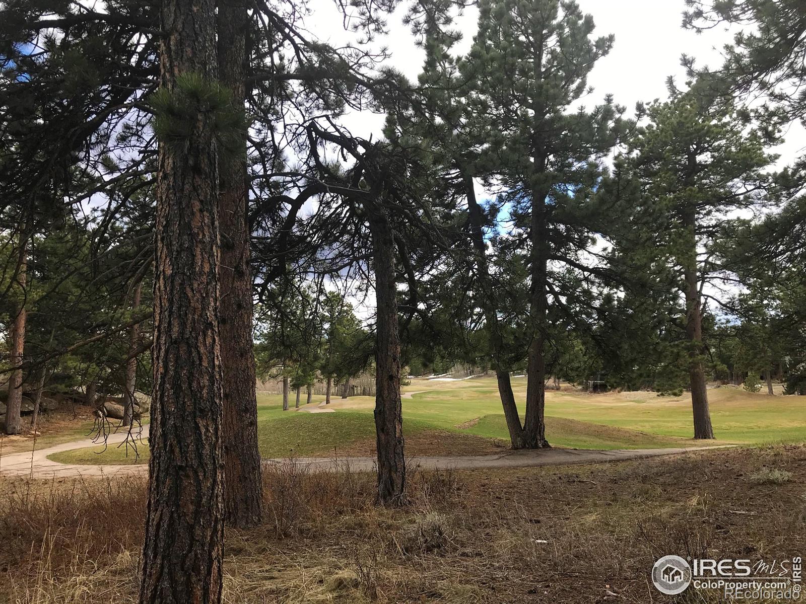 520 Fox Acres Drive W Red Feather Lakes CO 80545