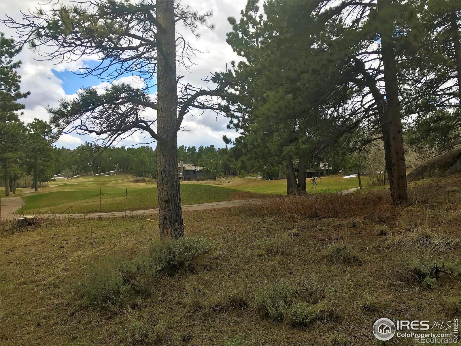 520 Fox Acres Drive W Red Feather Lakes CO 80545