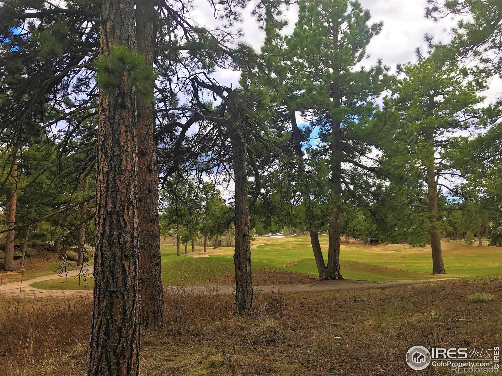 520 Fox Acres Drive W Red Feather Lakes CO 80545