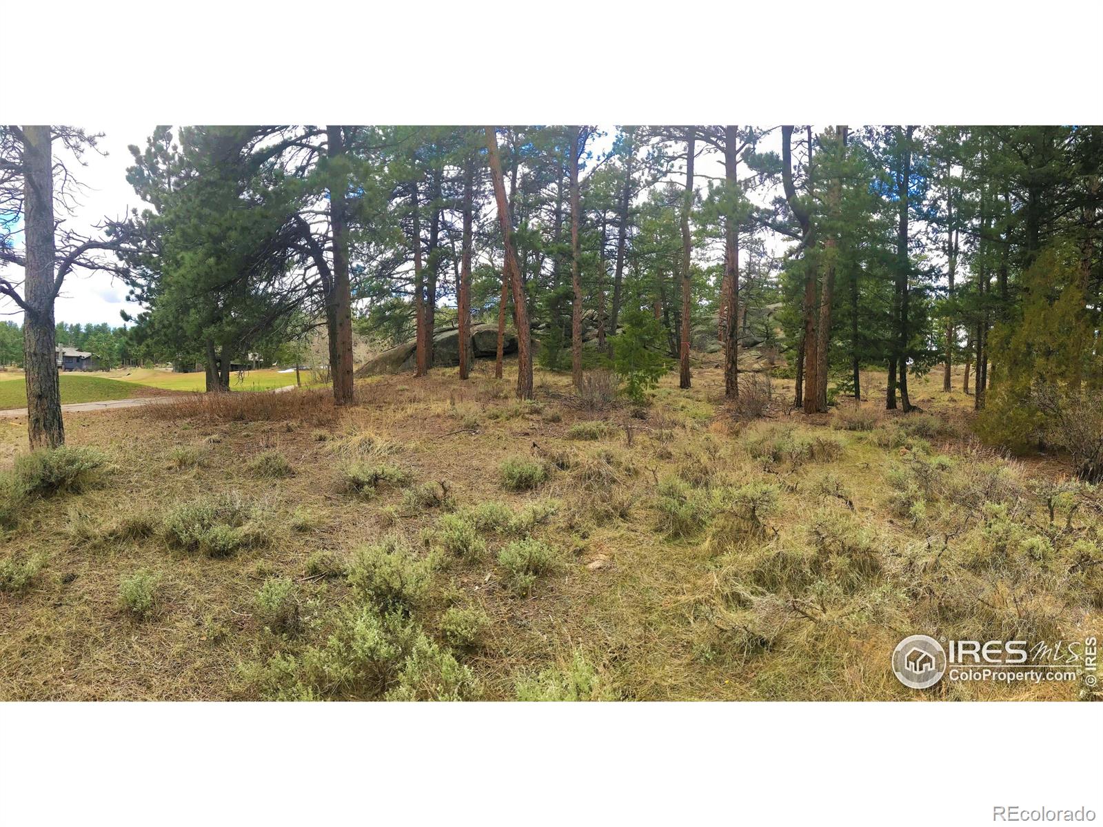 520 Fox Acres Drive W Red Feather Lakes CO 80545