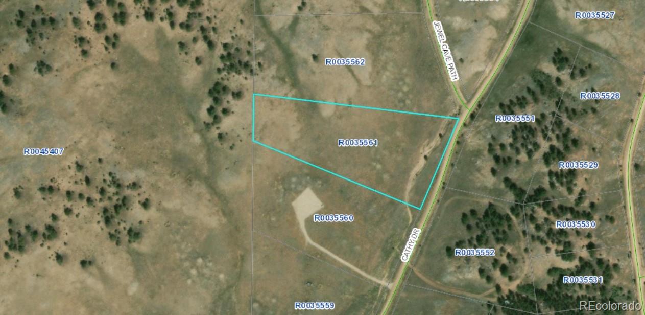 691 Cathy Drive Hartsel CO 80449