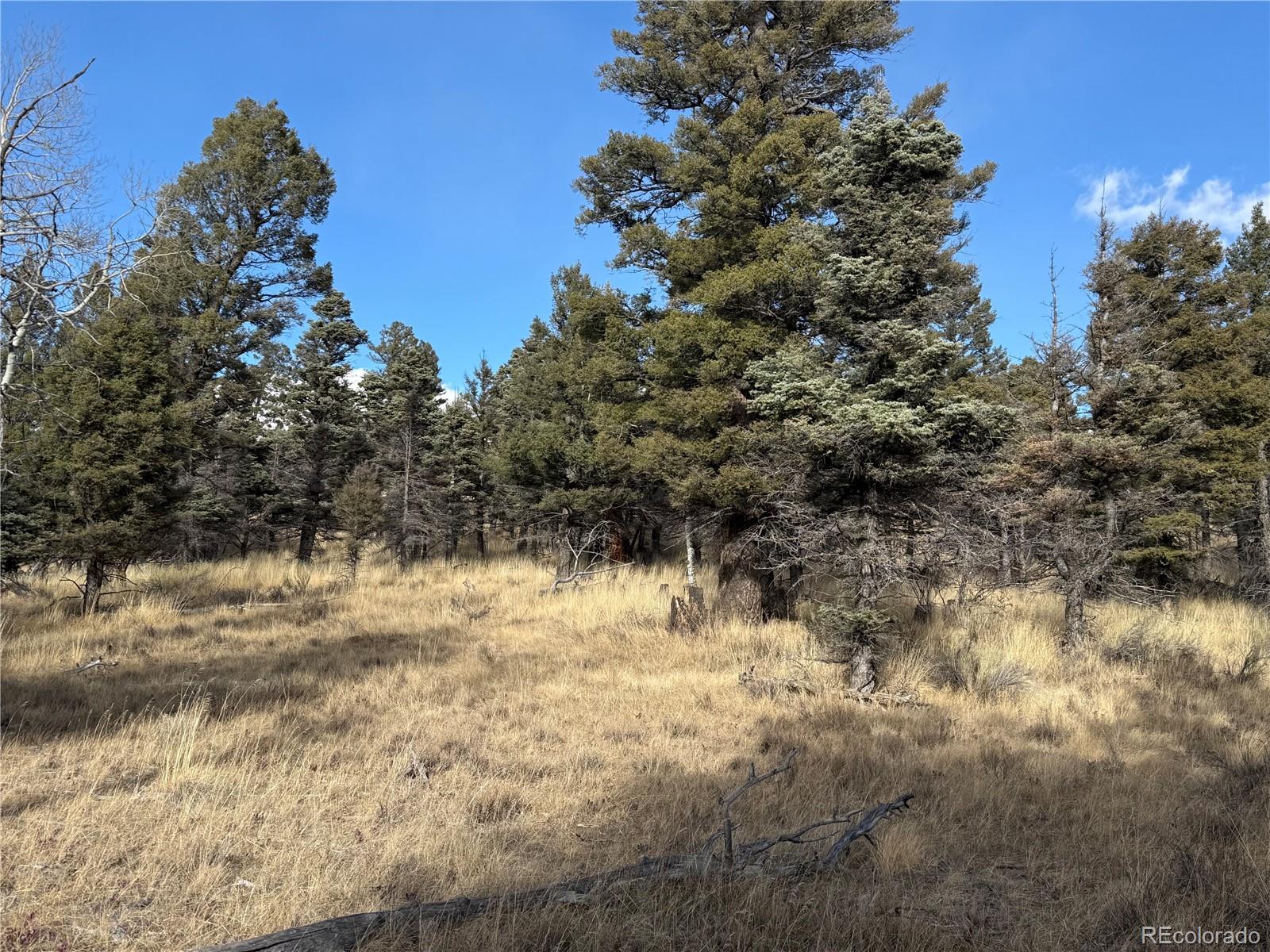 310 Morley Place Fort Garland CO 81133