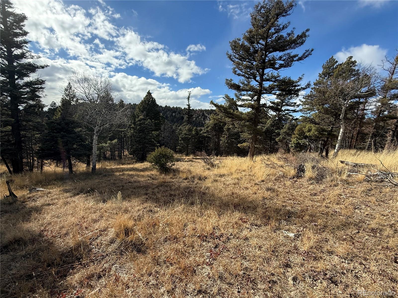 310 Morley Place Fort Garland CO 81133
