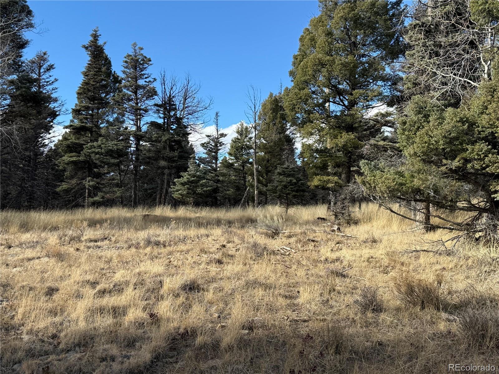310 Morley Place Fort Garland CO 81133