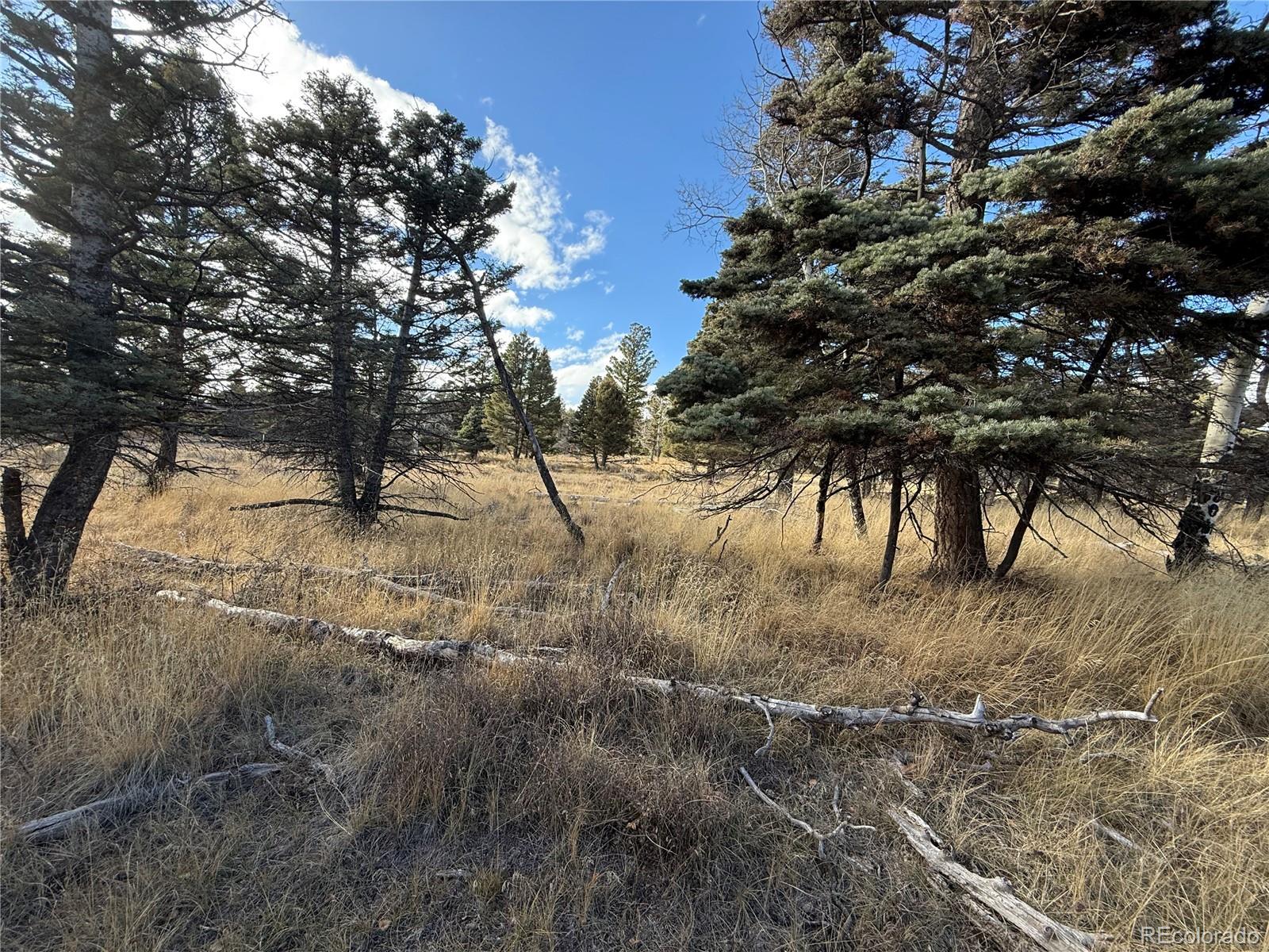 310 Morley Place Fort Garland CO 81133