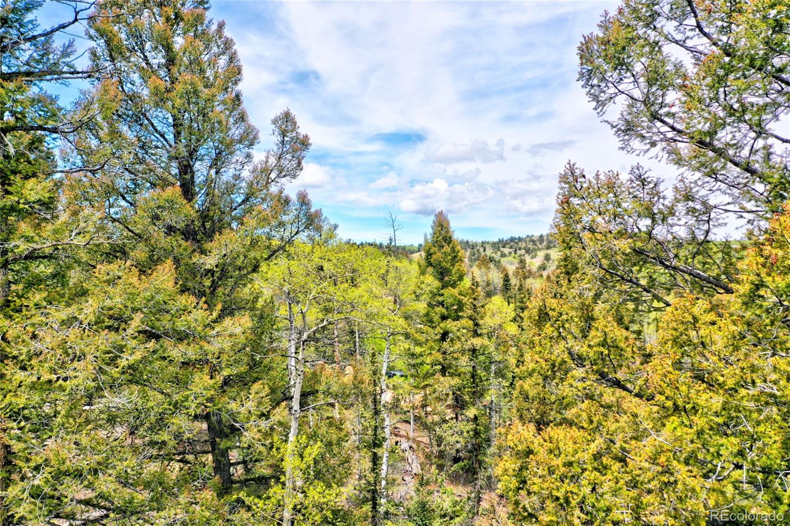 28 Old Squaw Road Jefferson CO 80456