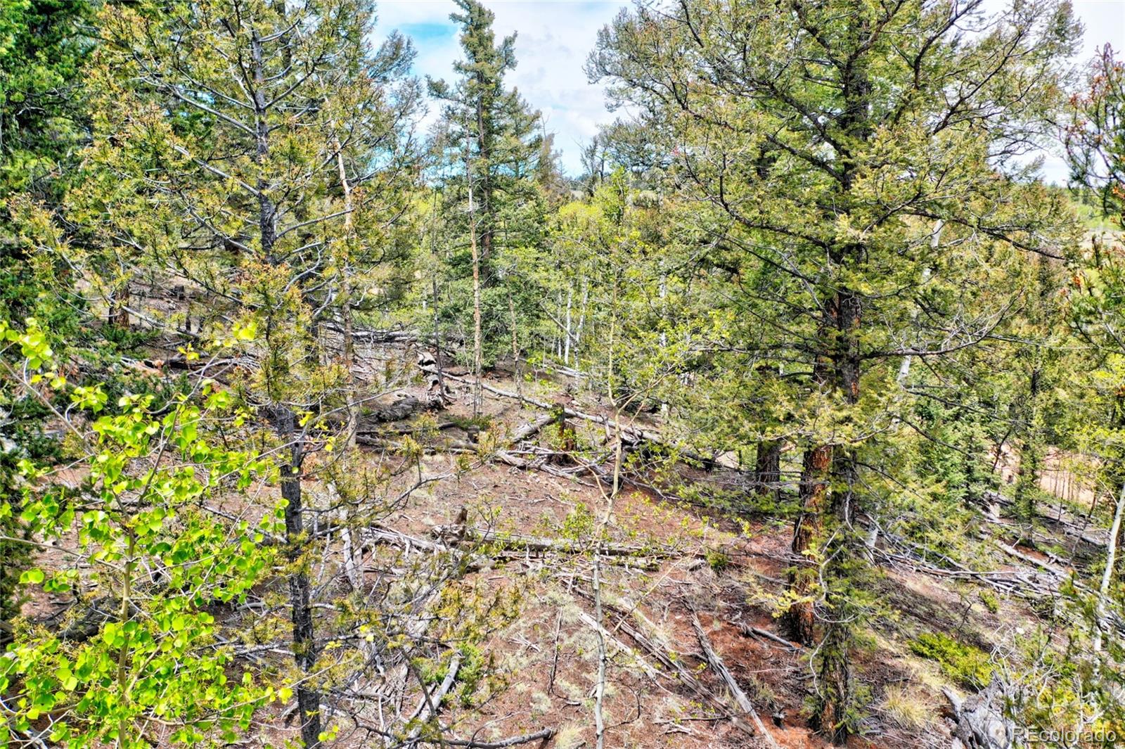 28 Old Squaw Road Jefferson CO 80456