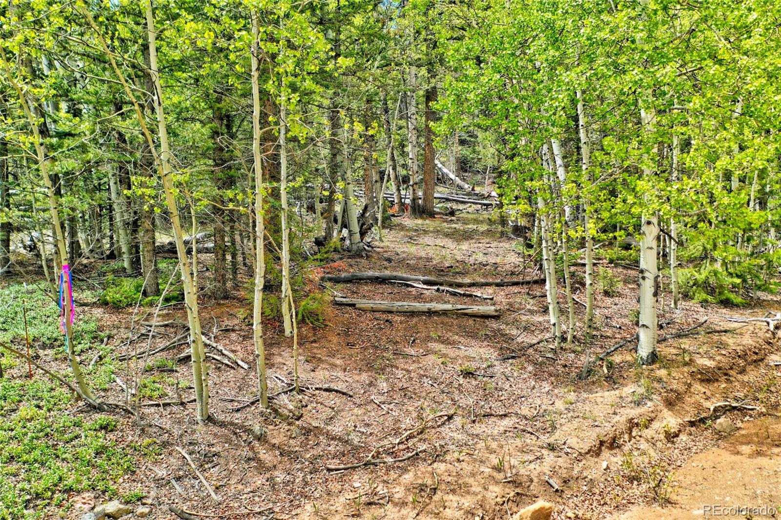 28 Old Squaw Road Jefferson CO 80456