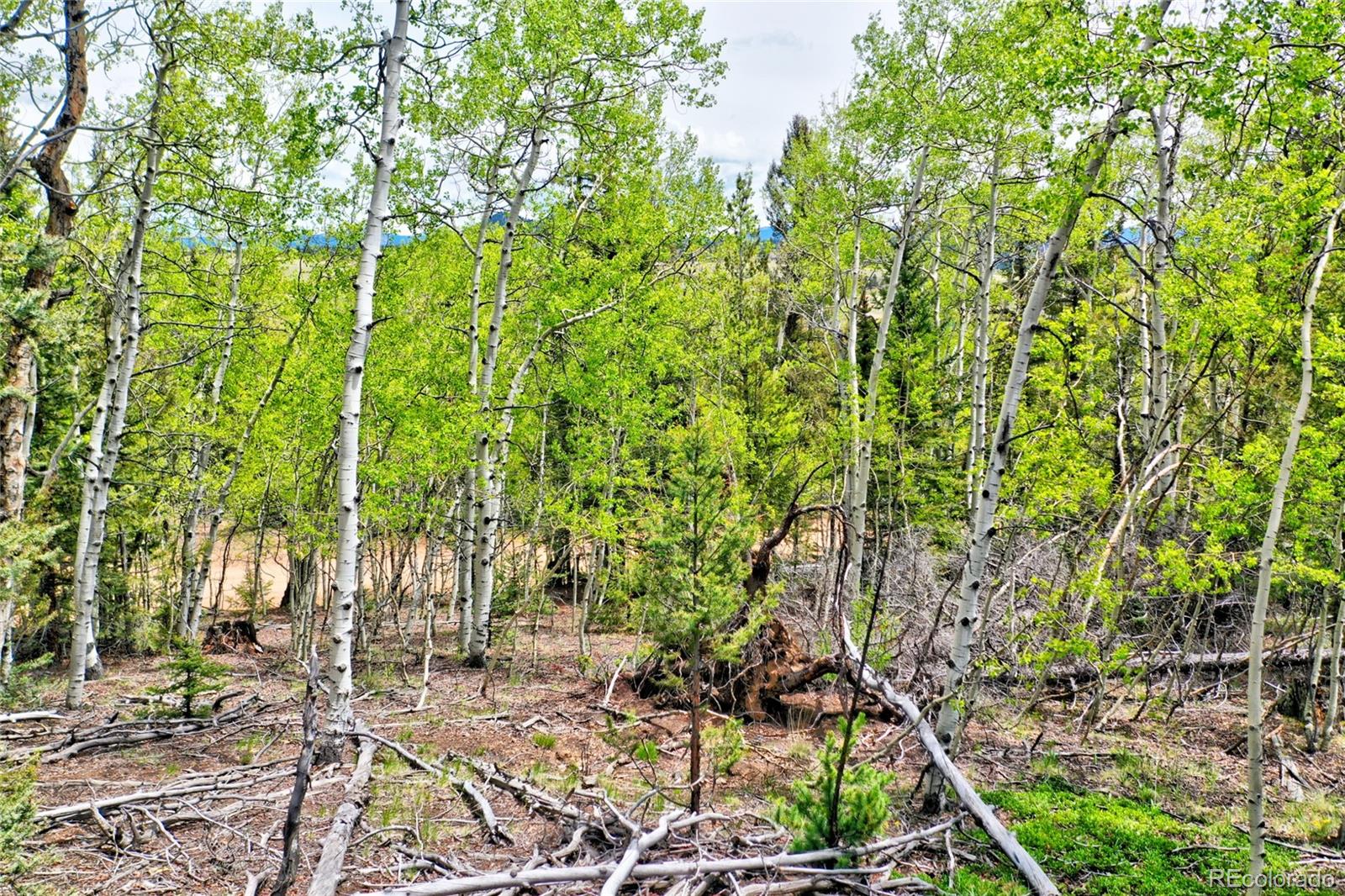 28 Old Squaw Road Jefferson CO 80456