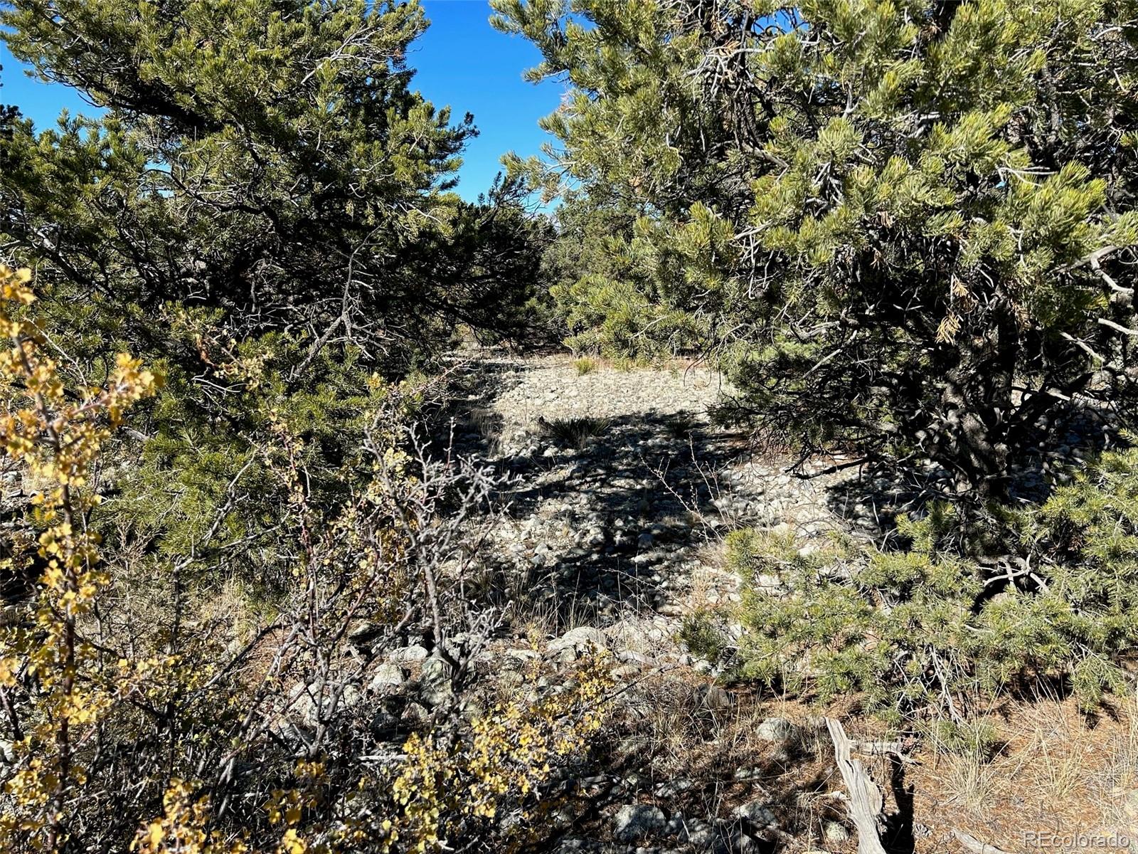 03 Mill Run Road Mosca CO 81146