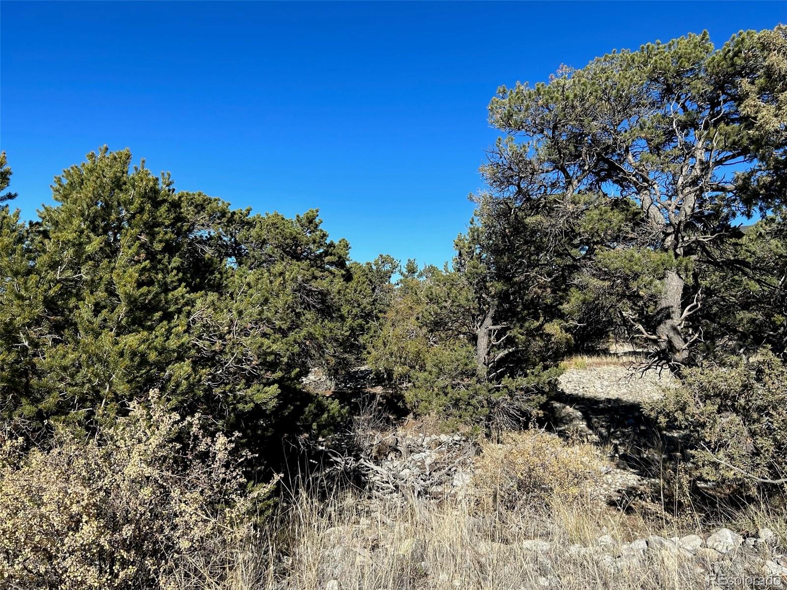 03 Mill Run Road Mosca CO 81146