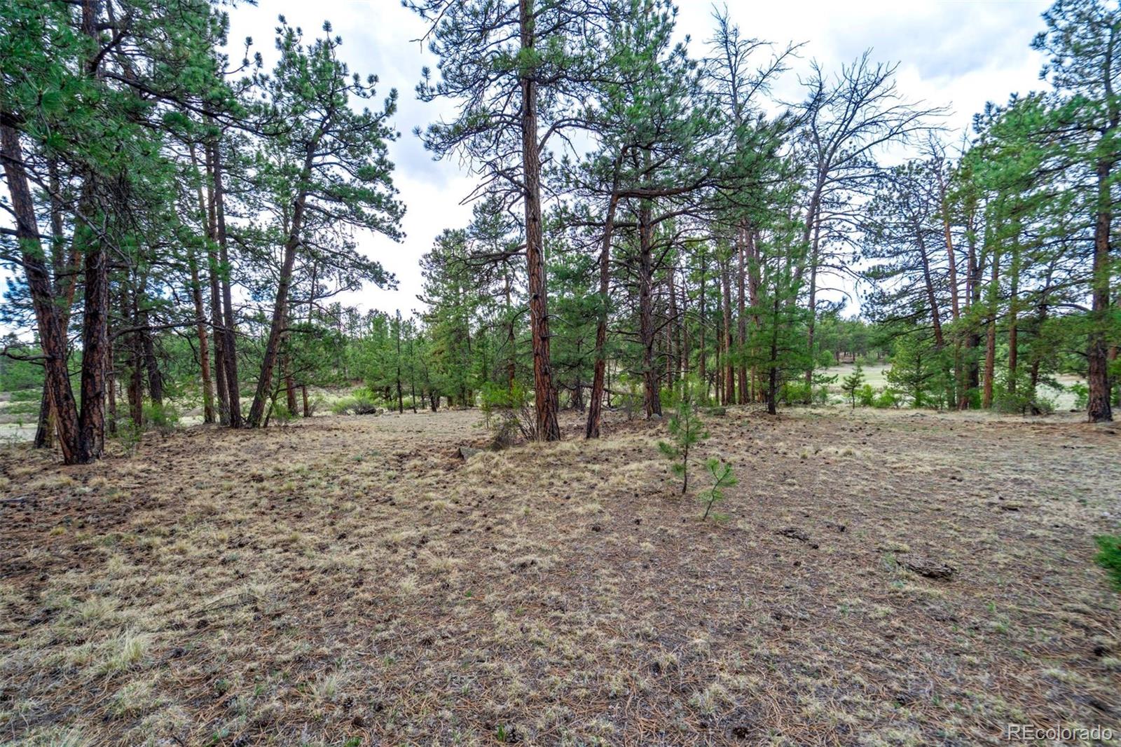 Tract 103 Doe Valley Road Guffey CO 80820