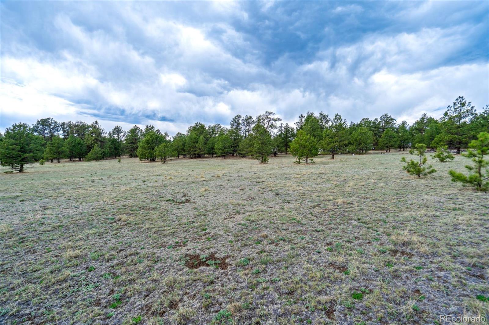 Tract 103 Doe Valley Road Guffey CO 80820