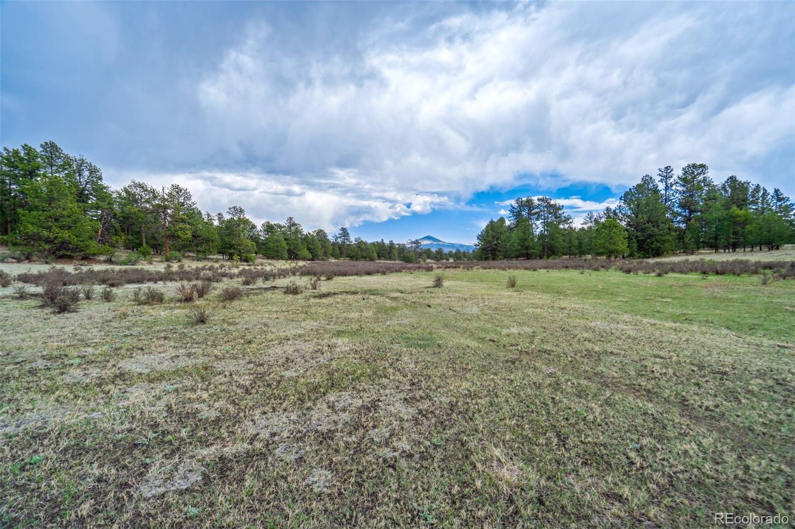 Tract 103 Doe Valley Road Guffey CO 80820