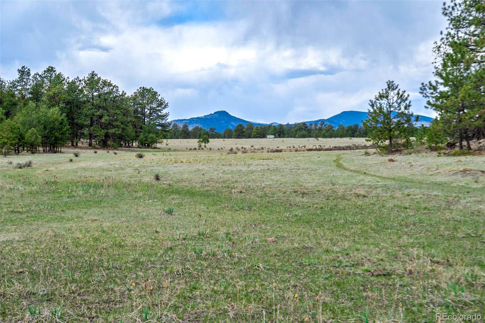 Tract 103 Doe Valley Road Guffey CO 80820