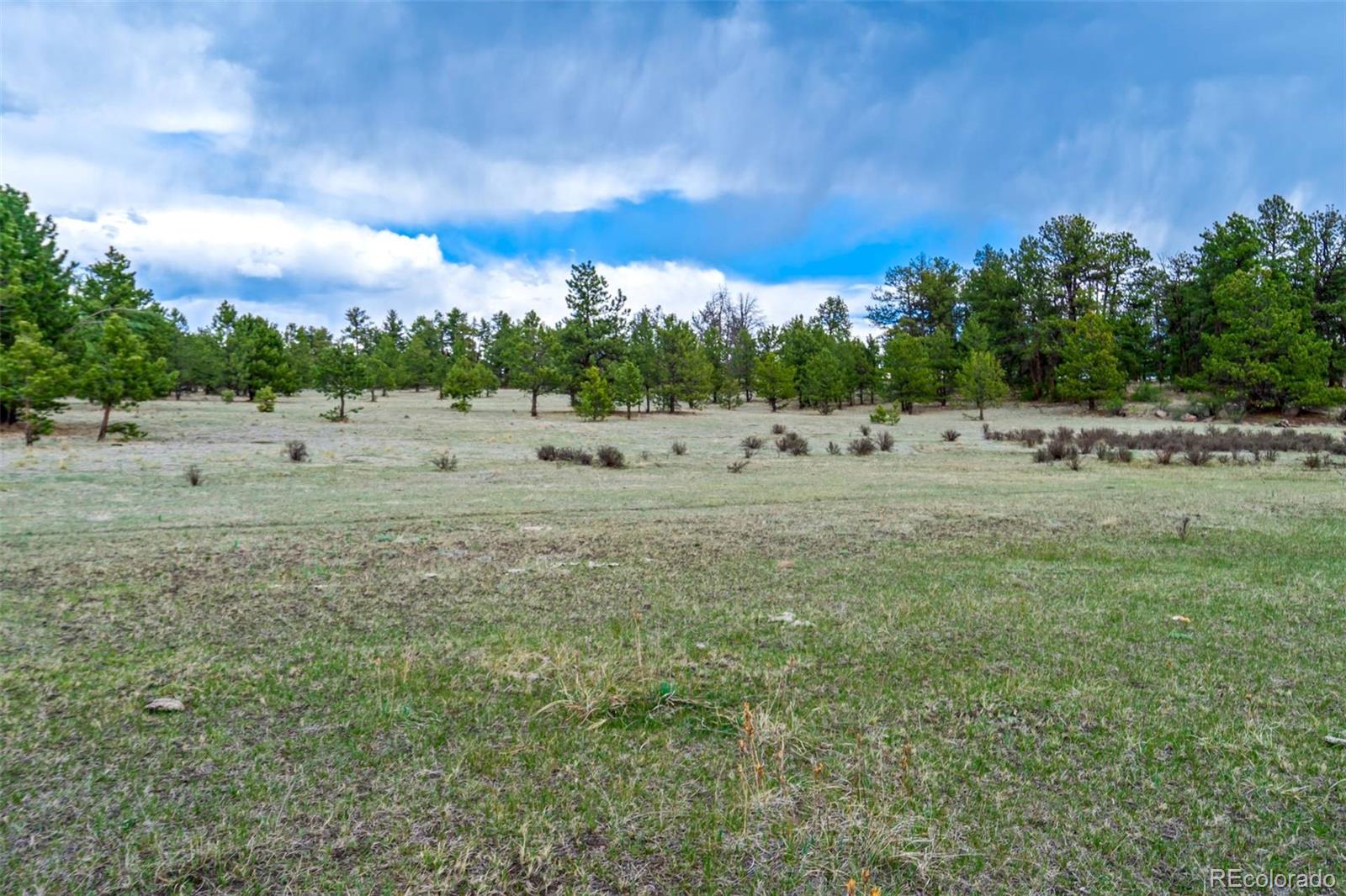 Tract 103 Doe Valley Road Guffey CO 80820