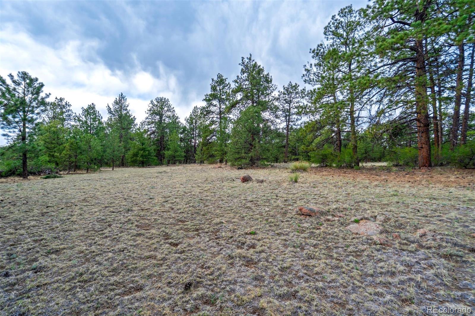 Tract 103 Doe Valley Road Guffey CO 80820