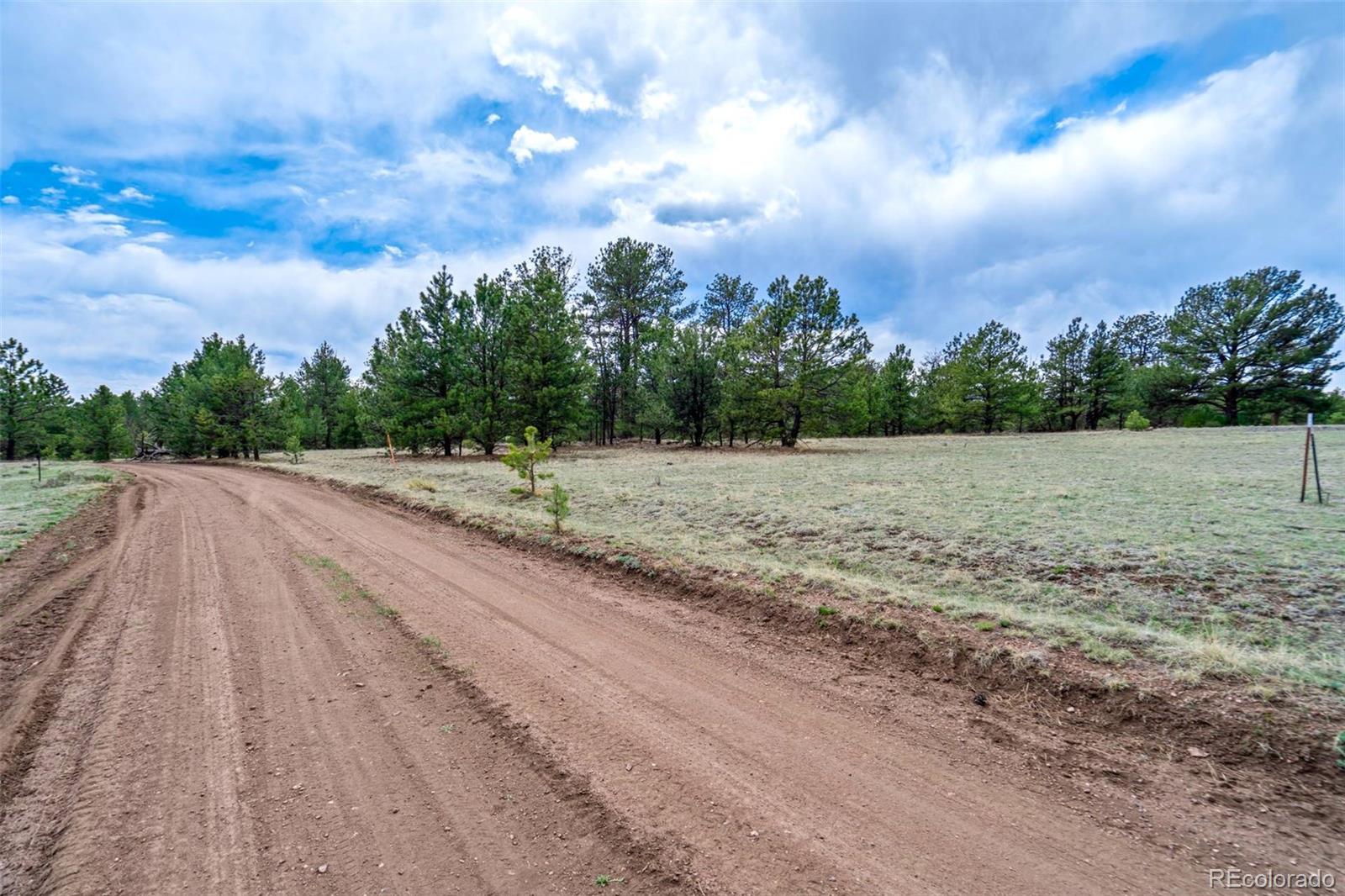 Tract 103 Doe Valley Road Guffey CO 80820