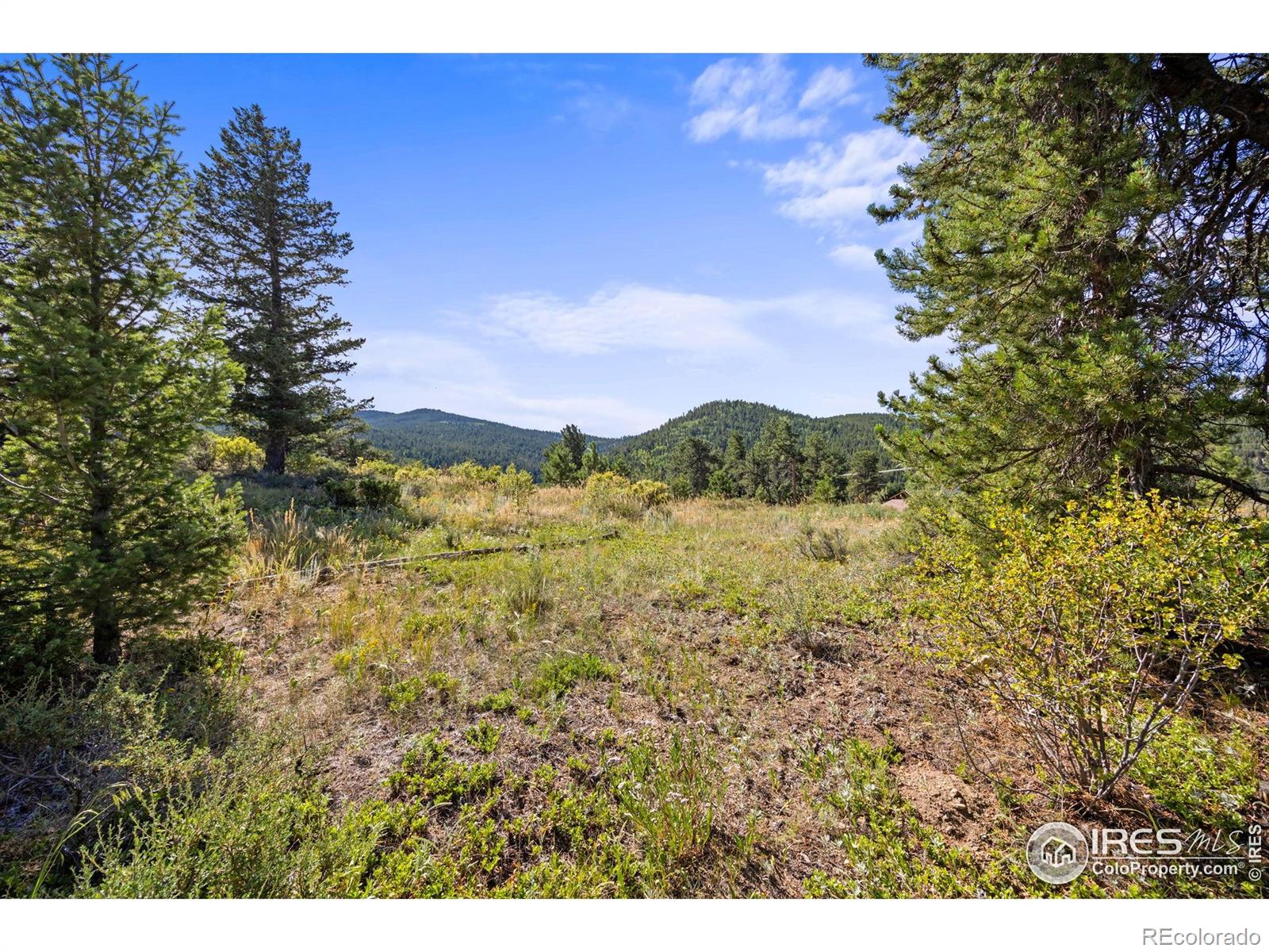 134 Hurricane Hill Drive Nederland CO 80466